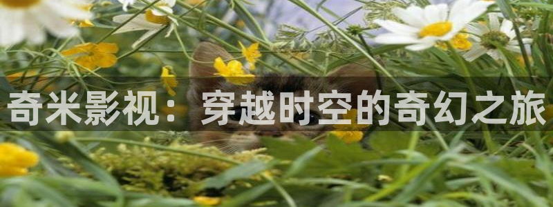 琪琪免费电影院：奇米影视：穿越时空的奇幻之旅