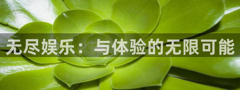 琪琪影院在线观看：无尽娱乐：与体验的无限可能