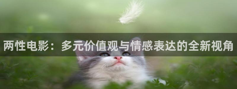 日韩琪琪影院