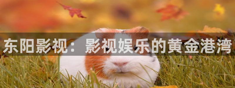 秋霞电影网琪琪