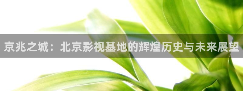琪琪影院a：京兆之城：北京影视基地的辉煌历史与未来展望