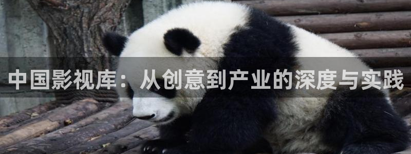 色戒琪琪影院：中国影视库：从创意到产业的深度与实践
