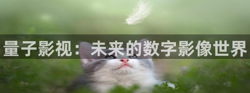 80电影天堂网琪琪：量子影视：未来的数字影像世界
