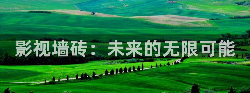 琪琪在线影院伦理：影视墙砖：未来的无限可能