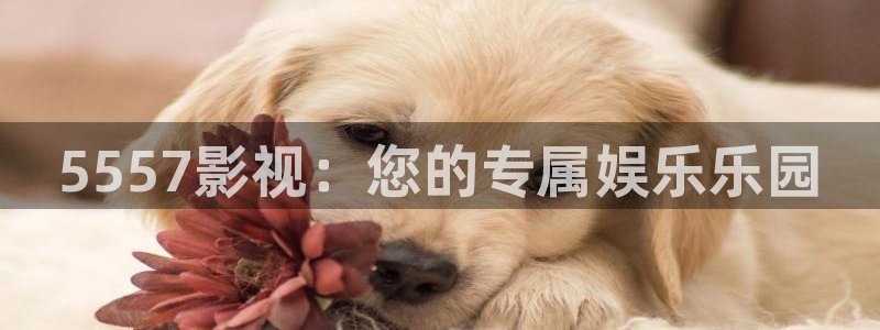 琪琪电影院免费：5557影视：您的专属娱乐乐园
