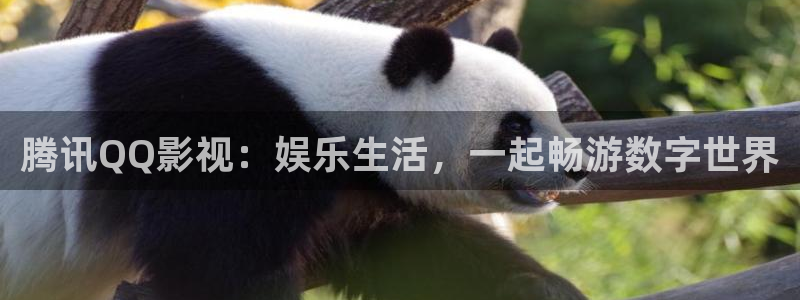 涩琪琪影院：腾讯QQ影视：娱乐生活，一起畅游数字世界